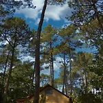 Lo Rey Du Soorts-Hossegor