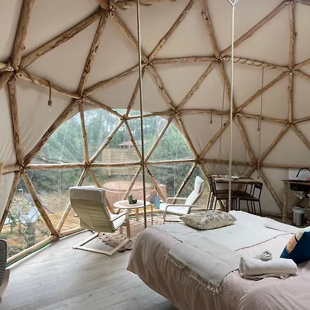 Lo Rey Du Сорт-Осгор