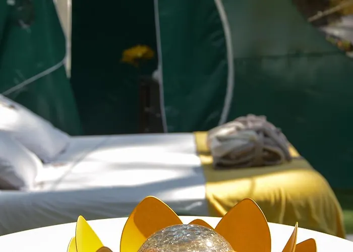 Кемпинг Lo Rey Du *