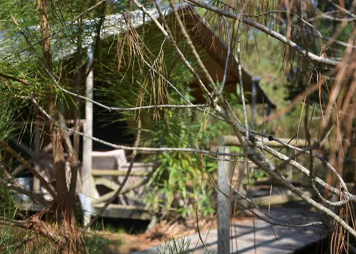 Lo Rey Du Кемпинг Сорт-Осгор