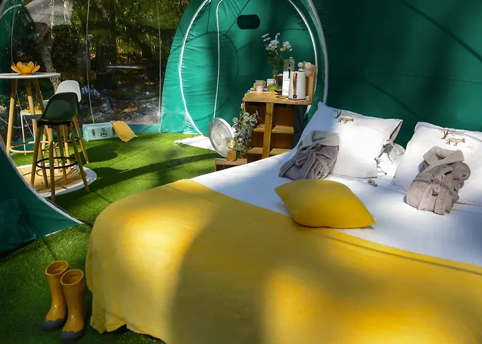 Lo Rey Du * Сорт-Осгор