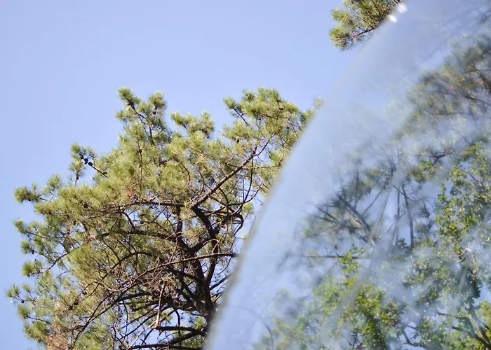 Lo Rey Du Кемпинг *