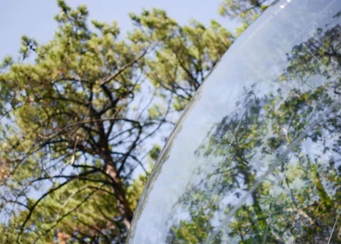 Кемпинг Lo Rey Du