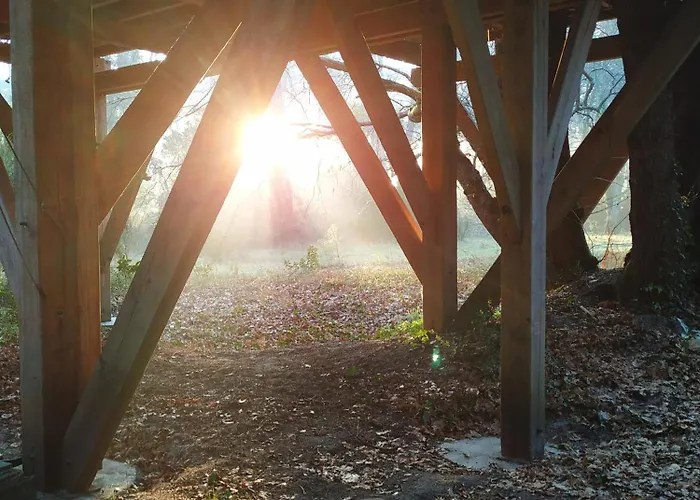 Lo Rey Du * Сорт-Осгор