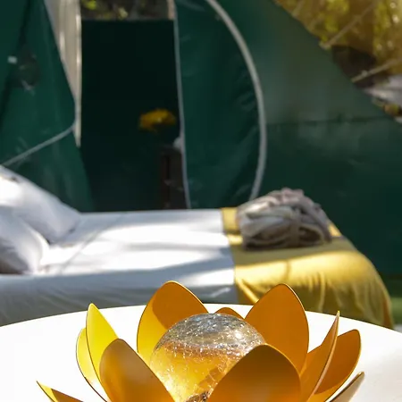 Campingplads Lo Rey Du *