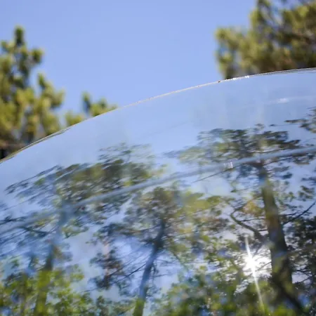 Lo Rey Du ソール・オスゴール