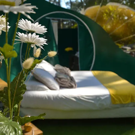 Lo Rey Du キャンプ場 ソール・オスゴール