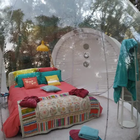 キャンプ場 Lo Rey Du