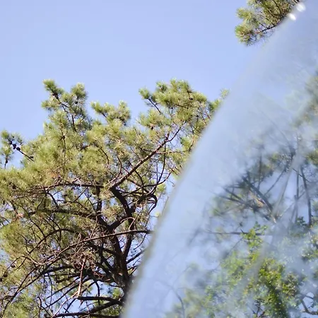 Lo Rey Du キャンプ場 *