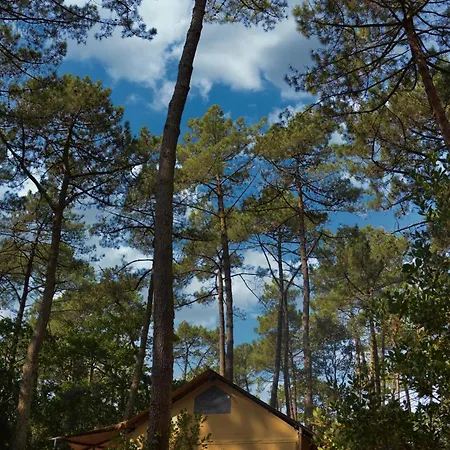 Lo Rey Du ソール・オスゴール