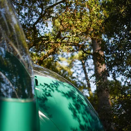 Lo Rey Du * ソール・オスゴール