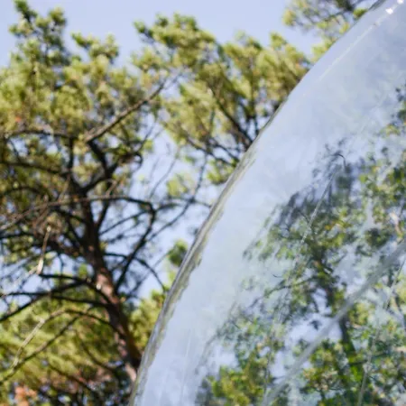 キャンプ場 Lo Rey Du