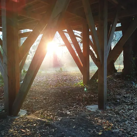 Lo Rey Du * ソール・オスゴール