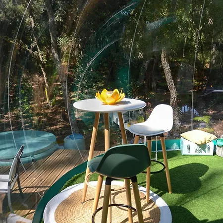 Lo Rey Du キャンプ場 ソール・オスゴール