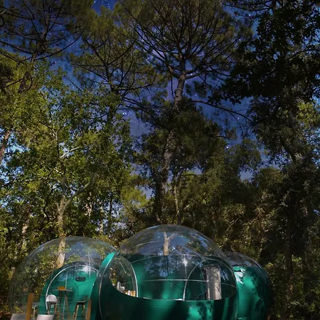 キャンプ場 Lo Rey Du