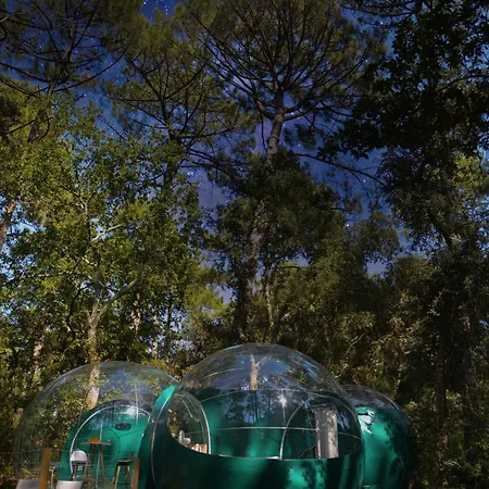 Camping Lo Rey Du