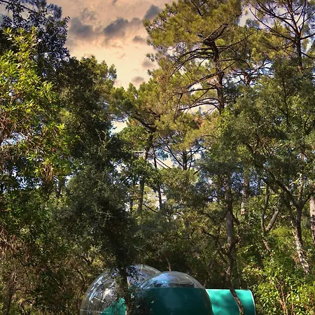 Lo Rey Du ソール・オスゴール