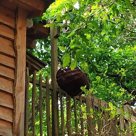 Lo Rey Du * ソール・オスゴール