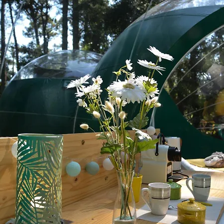 Lo Rey Du ソール・オスゴール