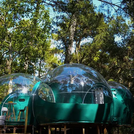 Lo Rey Du キャンプ場