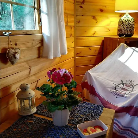 Lo Rey Du * ソール・オスゴール