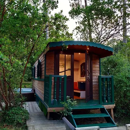 Lo Rey Du * ソール・オスゴール