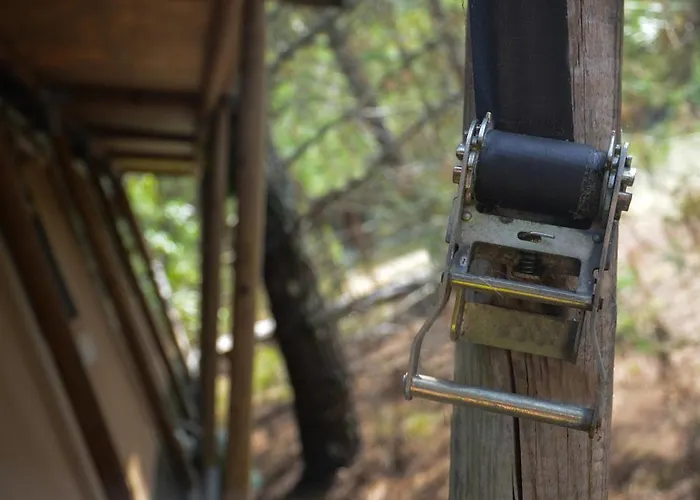 Lo Rey Du Campingplatz *