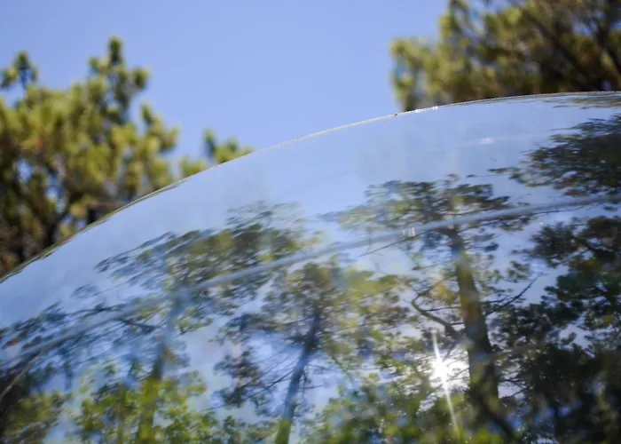 Lo Rey Du Soorts-Hossegor