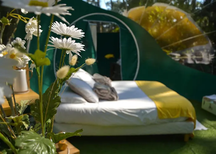 Lo Rey Du Campingplatz Soorts-Hossegor