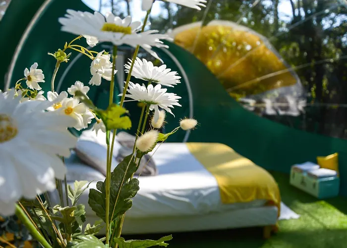 Campingplatz Lo Rey Du