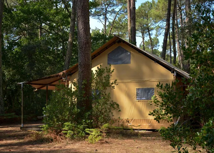 Campingplatz Lo Rey Du *