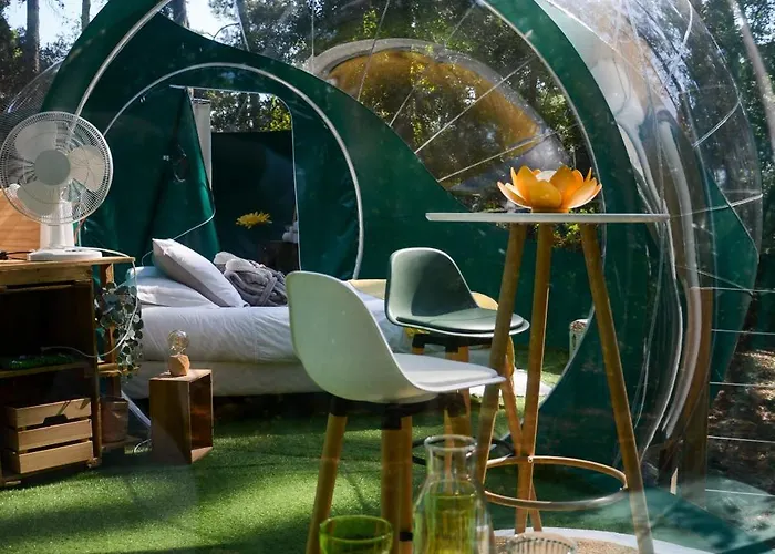 Lo Rey Du Campingplatz *