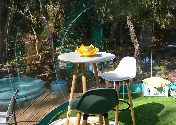 Lo Rey Du Campingplatz Soorts-Hossegor