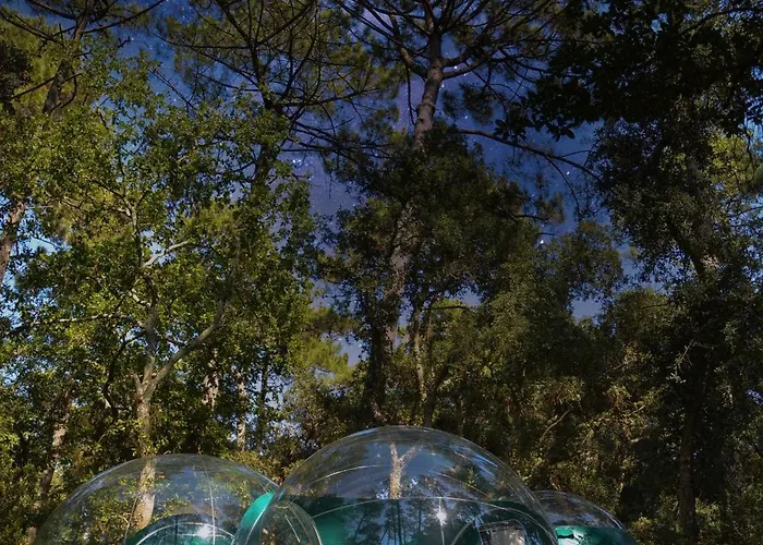 Campingplatz Lo Rey Du