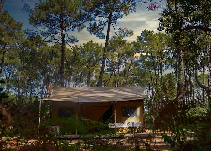 Lo Rey Du Campingplatz *