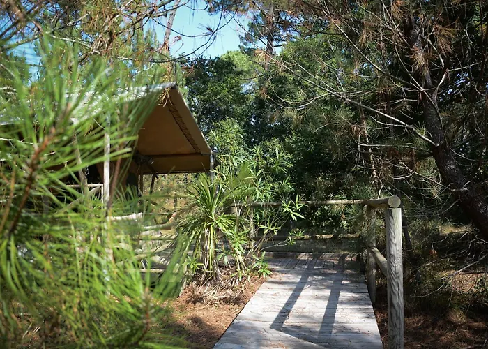 Campingplatz Lo Rey Du *