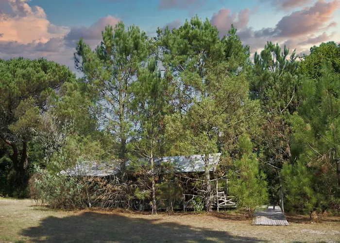 Lo Rey Du Campingplatz Soorts-Hossegor