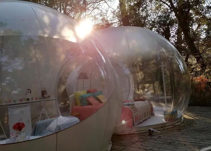 Lo Rey Du Campingplatz *