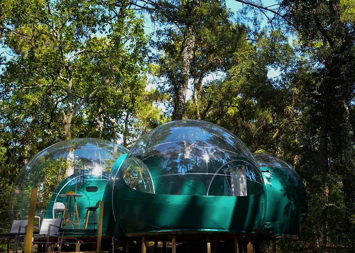 Lo Rey Du Campingplatz