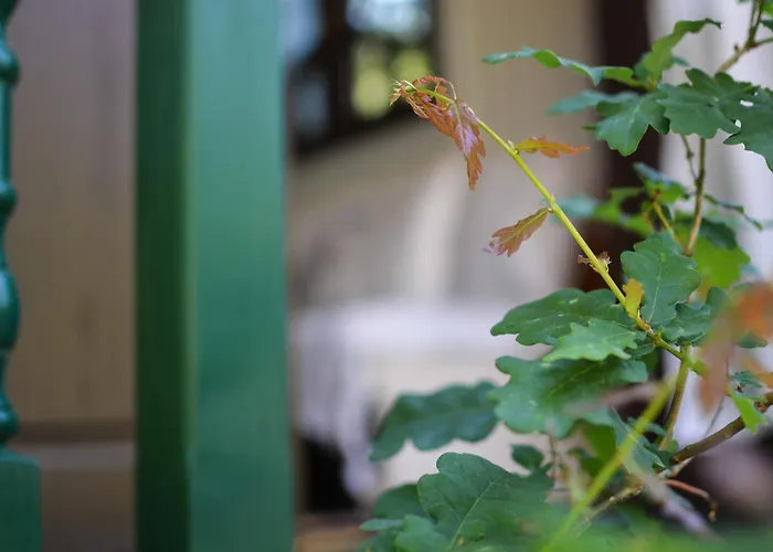 Lo Rey Du Campingplatz